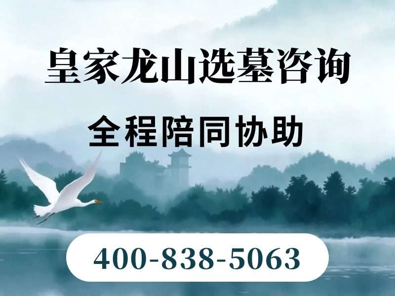 皇家龙山陵园九龙碑：九条龙姿态全解析
