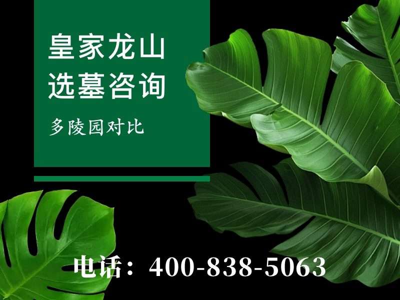 皇家龙山陵园龙山八景中最美的竟然是墓区内的苍松翠柏